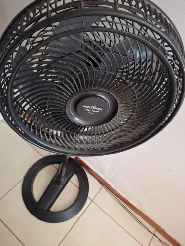 Vendo tudo