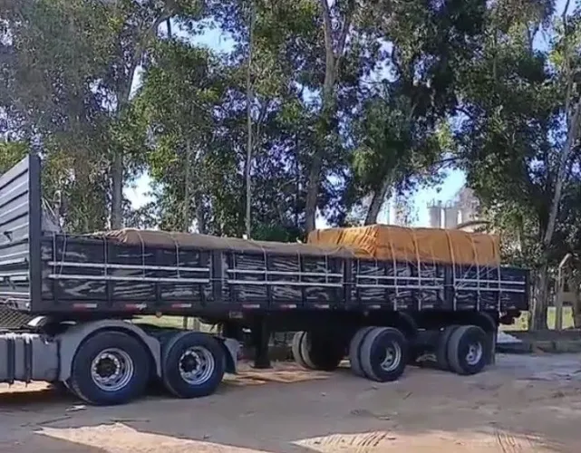 Carreta 2 eixos Fachini assoalho xadrez