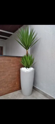 YUCA 1.5 ALTURA JA NO VASO QUE MEDE 49/33