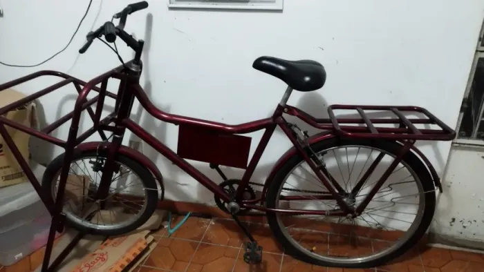 Bicicleta cargueira