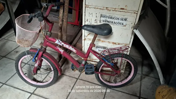 Bicicleta