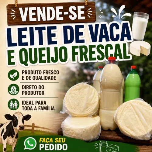 Queijos ovos leites e muito mais