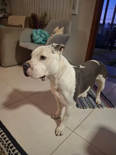 Doação!
