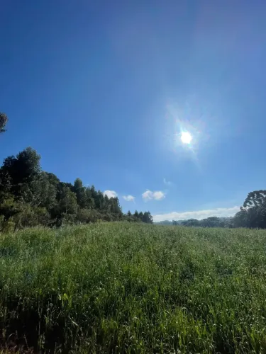 Chácara com 48.000,00m² em Pavão - Agudos do Sul/PR