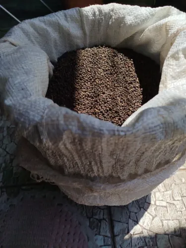 vendo pimenta do Reino em Grãos