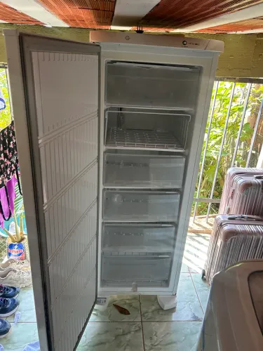 Freezer Vertical Electrolux - Para Conserto ou Peças (Excelente Estado Estético)