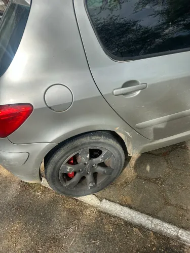 Peugeot 307 Soleil/ Presence 1.6/1.6 Flex 16V 5P 2009