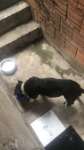 Doação América bullying