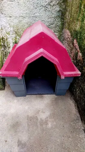 Casinha de cachorro G, para raças grandes