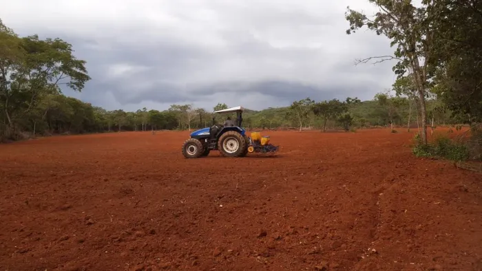 Fazenda DF Planaltina/Sobradinho 