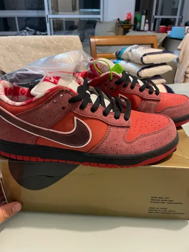Nike Sb Dunk low Red lobster 