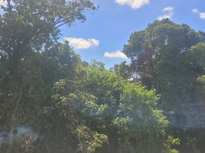 Vendo área em Ribeirão Preto