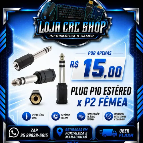 Plug P10 Estéreo x P2 Fêmea 