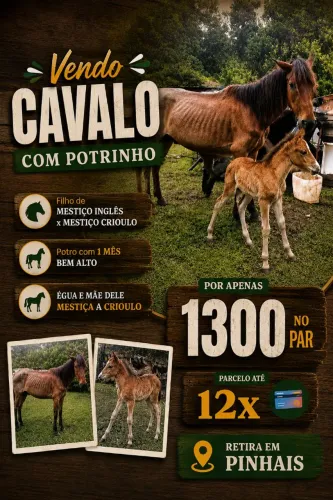 Cavalo