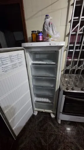 Freezer vertical