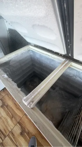 Freezer horizontal