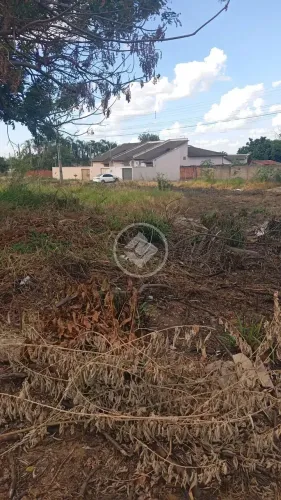 5 lotes de oportunidade no Buriti Sereno  Aparecida de Goiânia! codigo: 138948