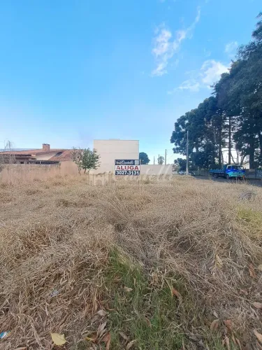 Excelente Terreno para locação, Uvaranas, PONTA GROSSA - PR