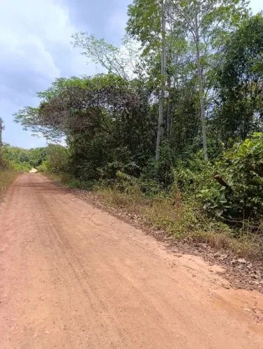 Terreno