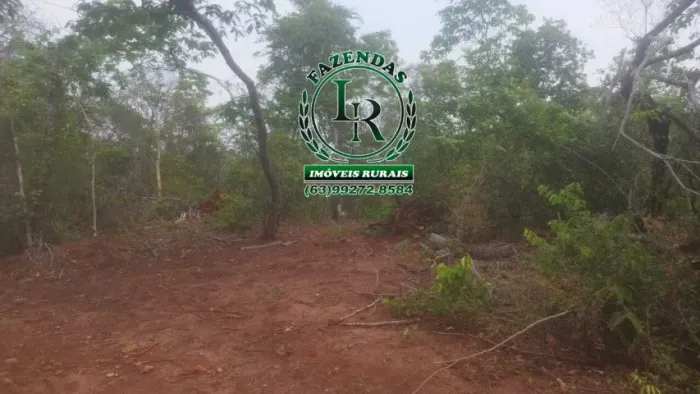 Fazenda 340 Alqueires Pecuária