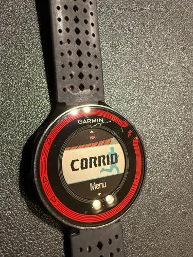 Garmin Forerunner 220