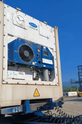 Contêiner Reefer Carrier