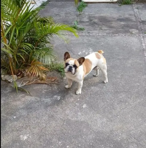 Procura-se uma namorada