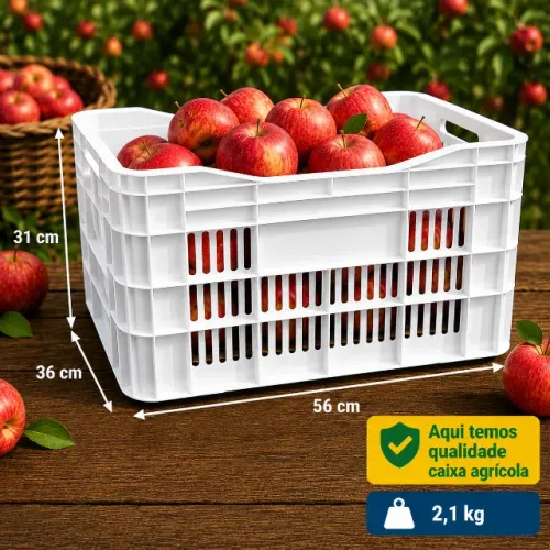 Caixa Plástica Direto da fábrica