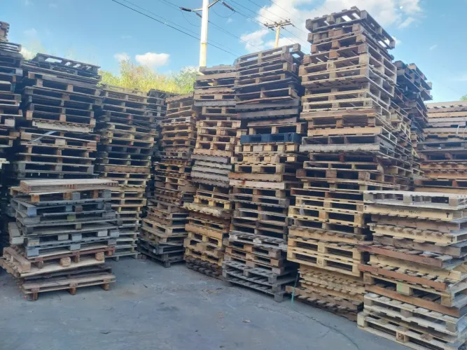 Vendo paletes descartáveis