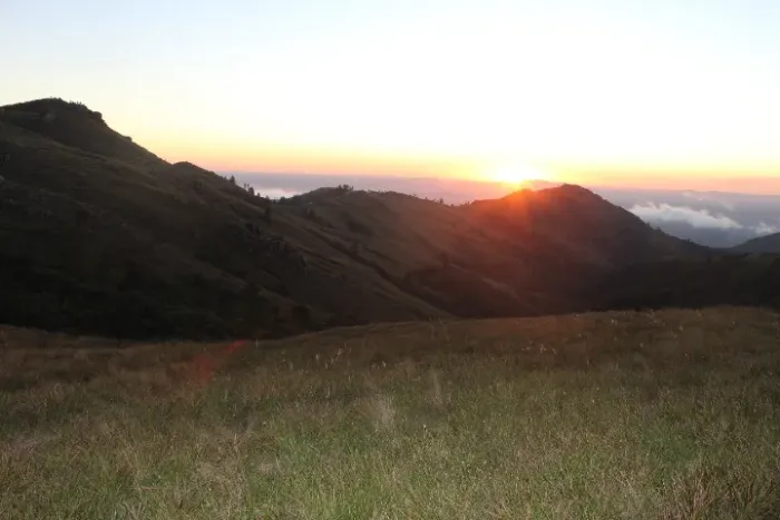 Empregada Doméstica Floripa - Trindade
