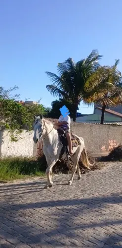 Vendo cavalo