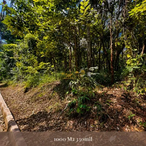 Lote para Venda em Brumadinho, Retiro do Chalé (Piedade do Paraopeba)