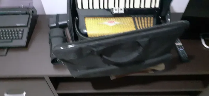Acordeon safona