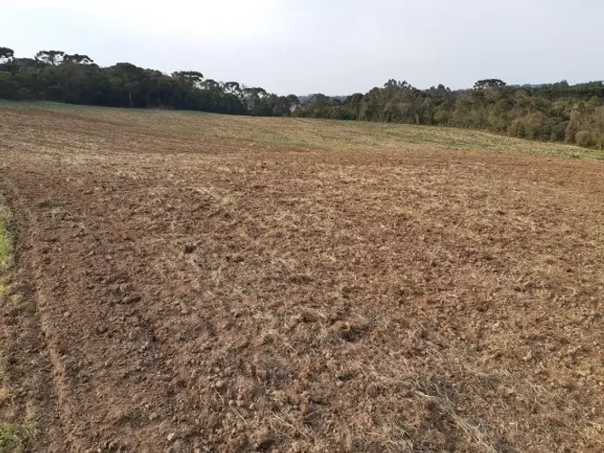 Excelente Terreno com 48.400 m² ( Lugar alto com risco zero de alagamentos )