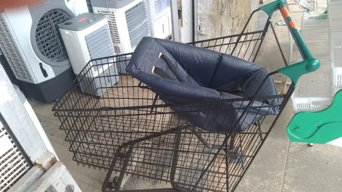 CARRINHO DE COMPRAS PREMIUM 210 LITROS PRT ACAB VD BD BEBE