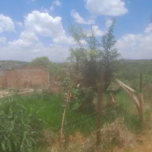 Lote no bairro Tiradentes em mateus leme