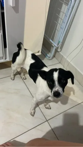 Doação 