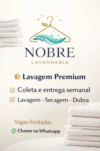 Lavagem de Roupas com Coleta e Entrega | Plano Mensal Premium