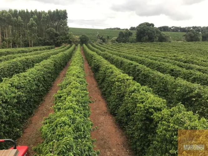 Fazenda à venda em Fortuna de Minas-MG: 1 quarto e 1.330,00 hectares de área.