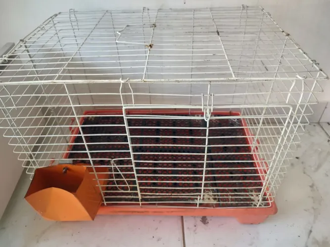 Vendo barato