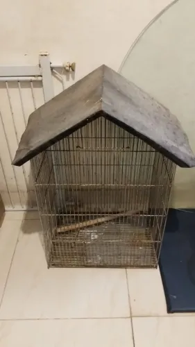 Vendo viveiro