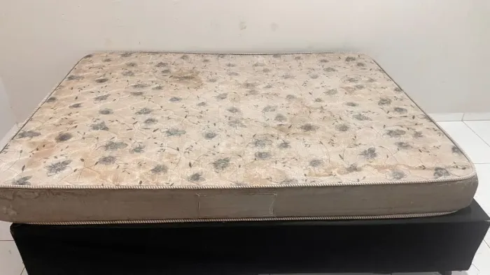 Cama