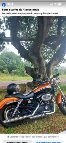 Harley Ruiva