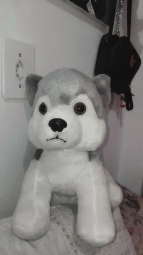 ? Urso de Pelúcia Imperdível