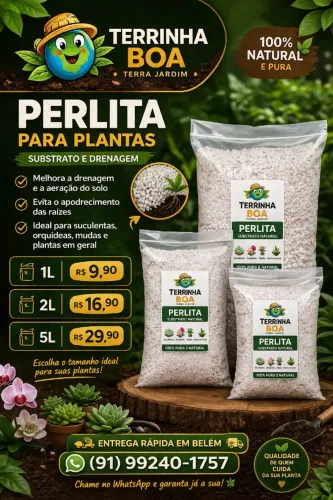 Perlita (Drenagem para Plantas) ? Ideal para Suculentas