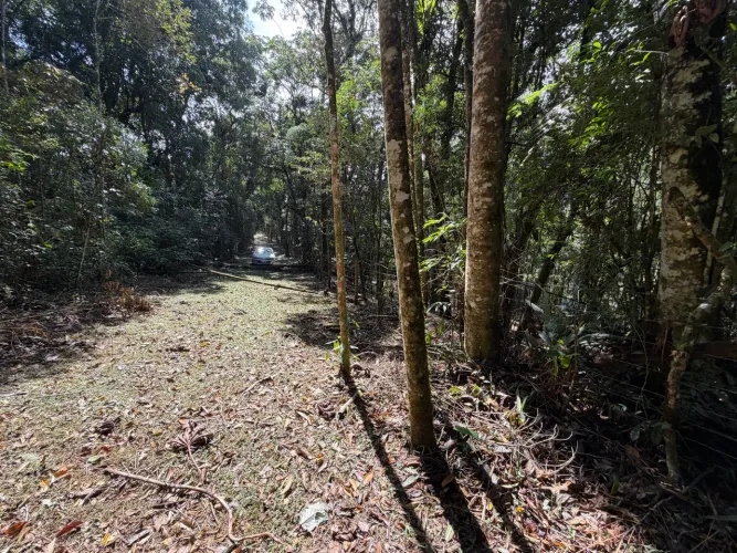 TERRENO À VENDA EM MARINGÁ - VISCONDE DE MAUÁ - ITATIAIA/RJ