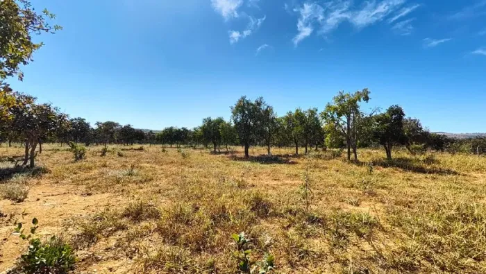 Terreno 1000m2 em Curvelo (próximo de Paraopeba)