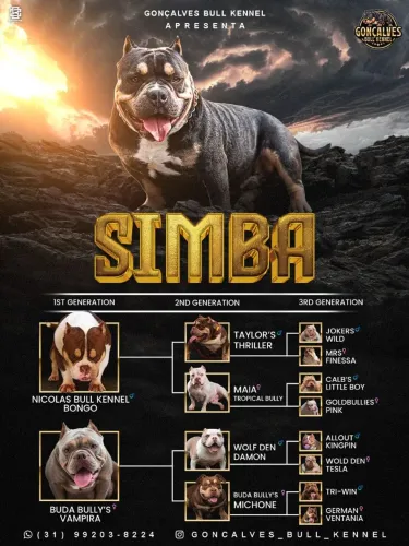 Disponível pra cobertura
