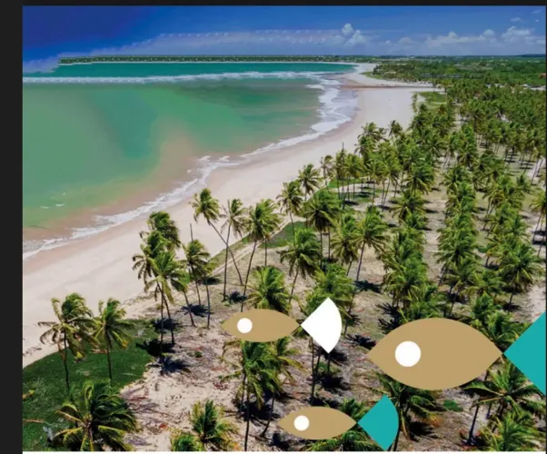 Praia do forte terreno 700