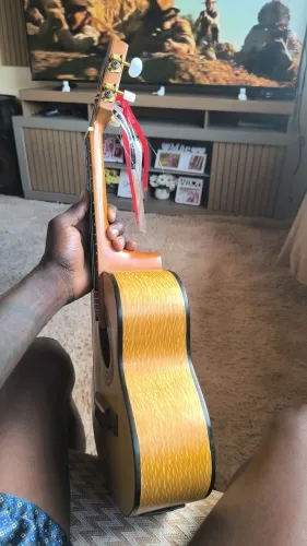Cavaquinho Gianini raiz profissional 